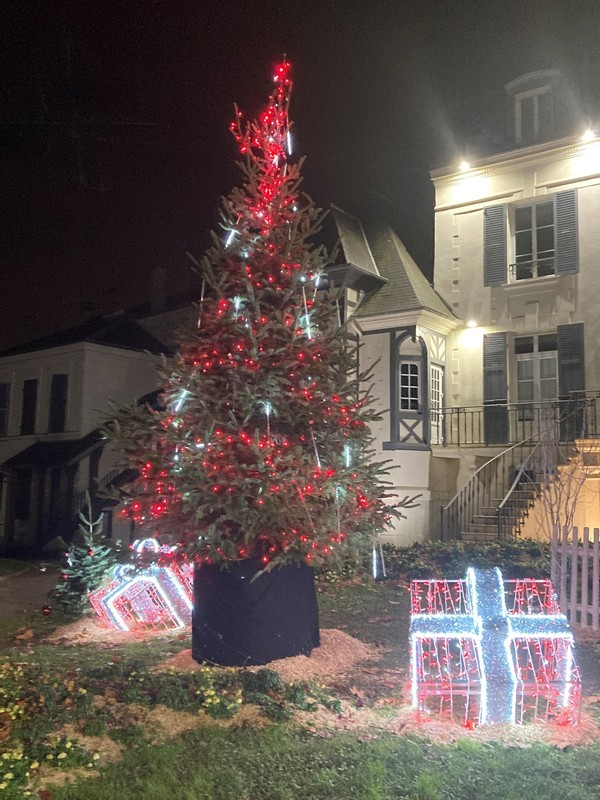 J'ai trouvé mon sapin !