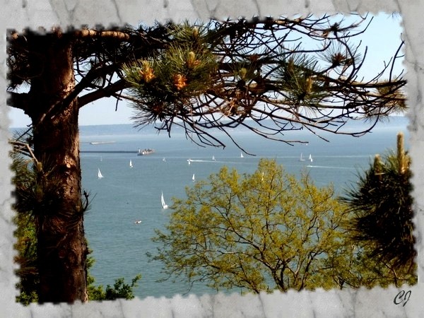 Sainte-Adresse (Seine-Maritime)