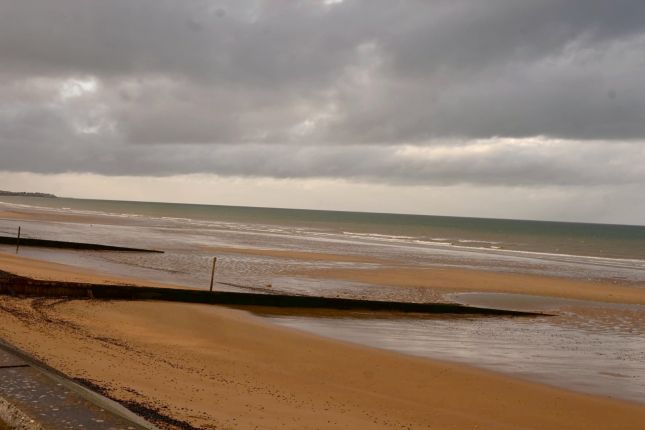 432935134_10228424175248599_5053440150714229325_n