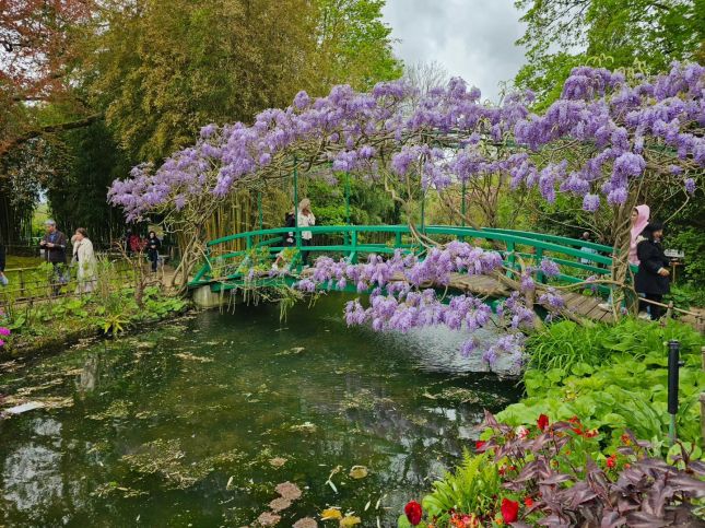 436457168_953399596793350_2196028258687249656_n