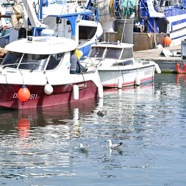 441853966_10228694106596714_4463046799817211752_n