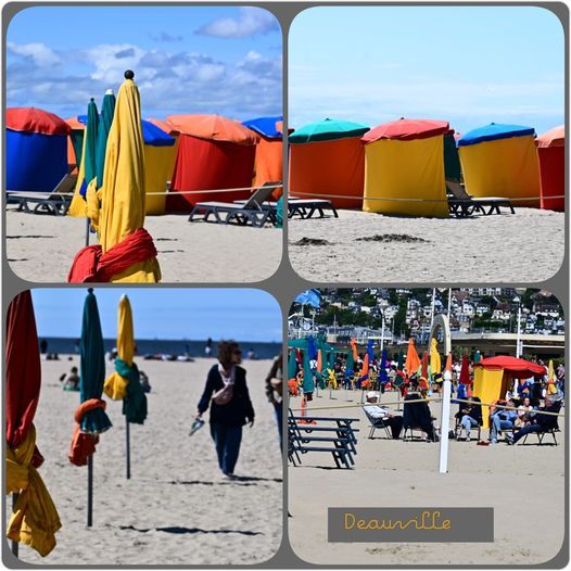 447291507_10228856260050449_6459886488449781925_n