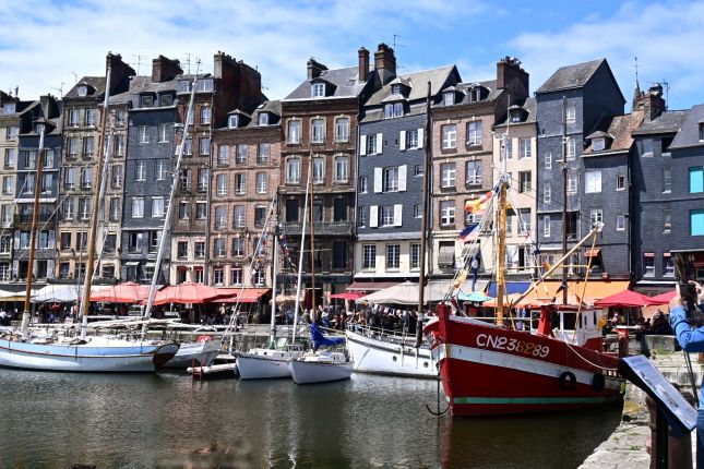 447961965_10228855665115576_6675996990712874098_n