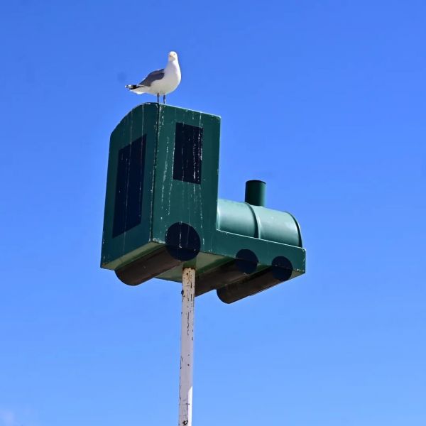 448137976_10228856237889895_953021575592571851_n