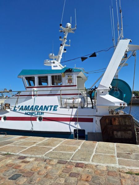 454753007_10229350105676281_856190303254596457_n