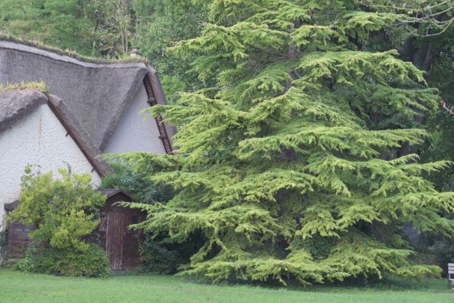 459323171_10229737156152301_3115706435029119358_n