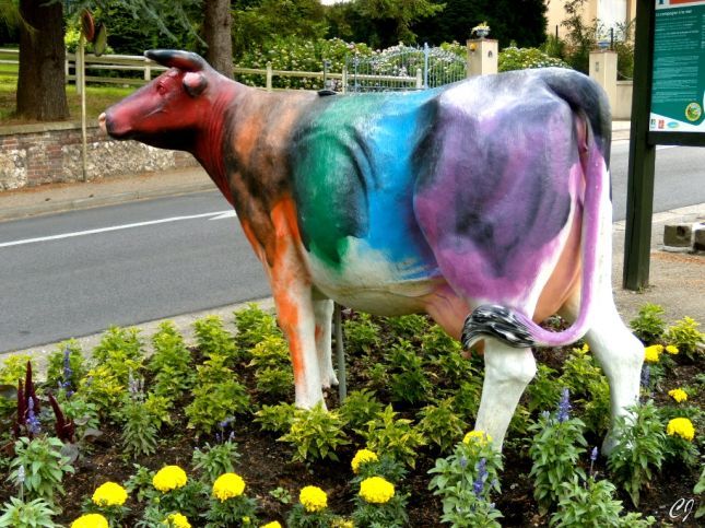 Vache_normande_coloree