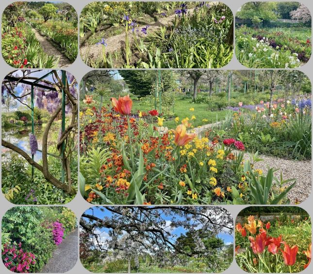 fleurs_jardin_Claude_Monet