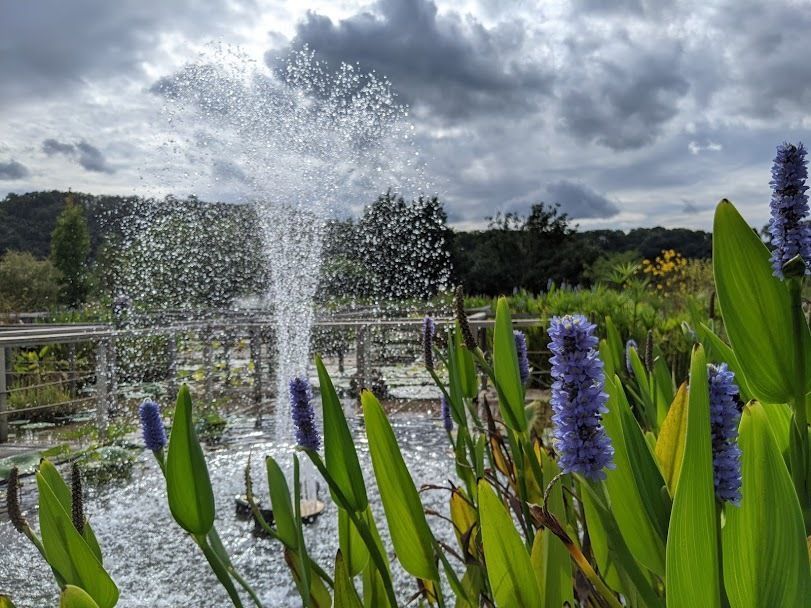 Les Jardins D'eau De Carsac 24200 Carsac-aillac
