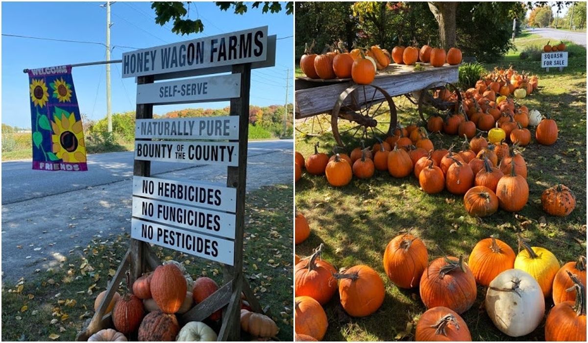 Le Comté du PrinceEdouard (Ontario/Canada)