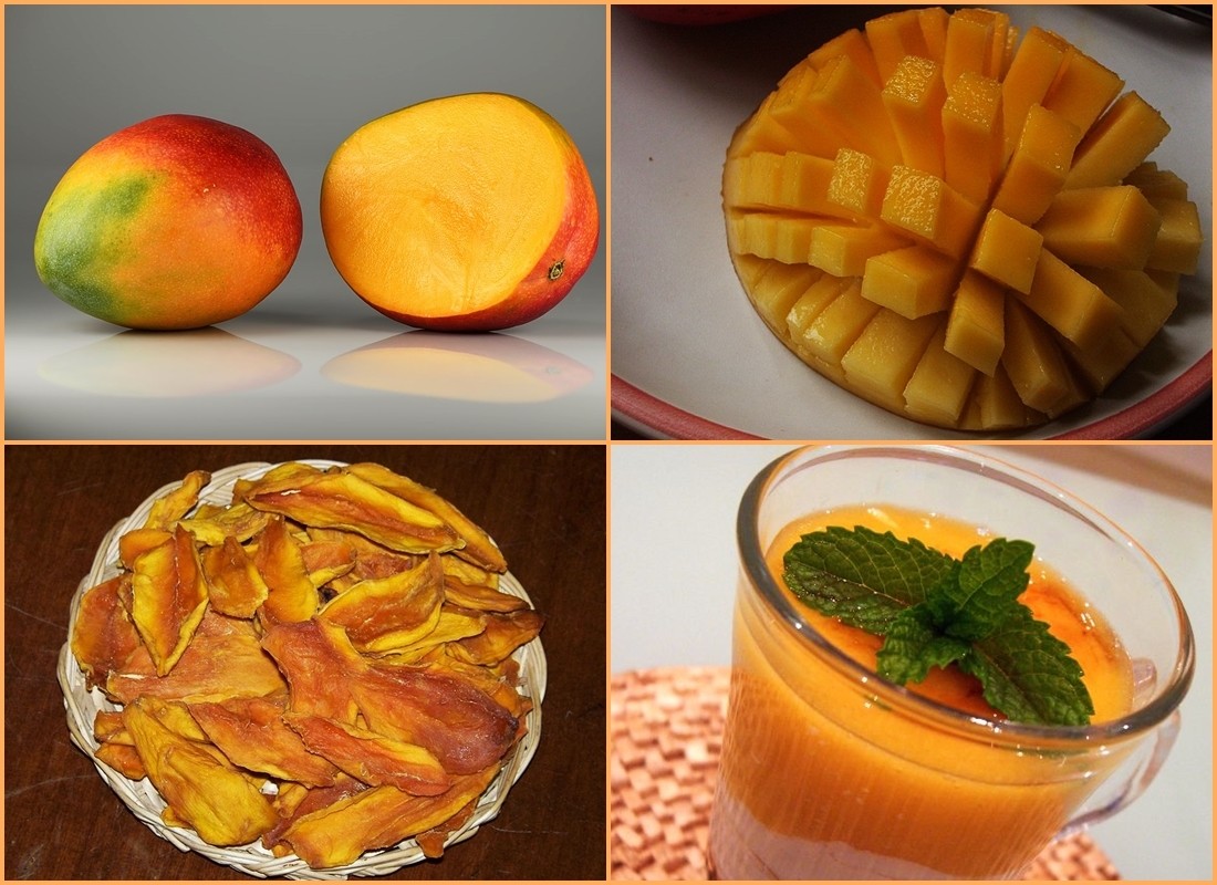 Manger une mangue & la faire germer... — free download